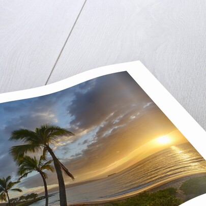 Sunset on Southern Maui Beach with Palm Trees by Anonymous