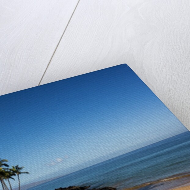 Palm Trees and Beach Along the Southern Maui by Anonymous