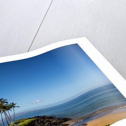 Palm Trees and Beach Along the Southern Maui by Anonymous