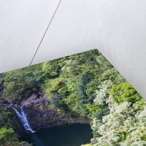 Waterfall along the Hana Highway by Anonymous
