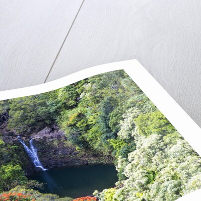Waterfall along the Hana Highway by Anonymous