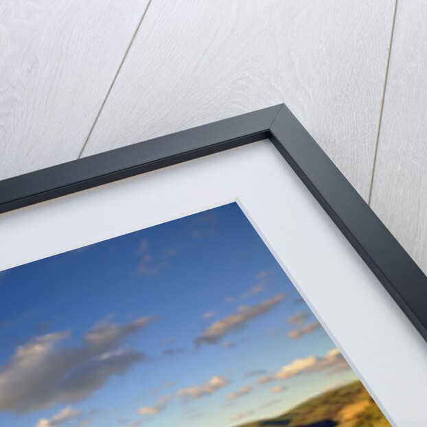 Terraced Vineyards lining the hills of the Duoro Valley by Anonymous
