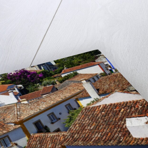Elevated View of the town with the Red Roofs and special architecture of the town by Anonymous