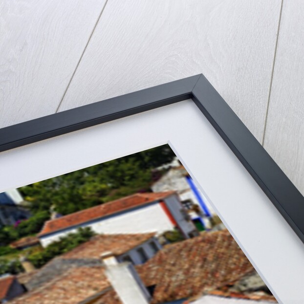 Elevated View of the town with the Red Roofs and special architecture of the town by Anonymous