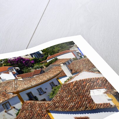 Elevated View of the town with the Red Roofs and special architecture of the town by Anonymous