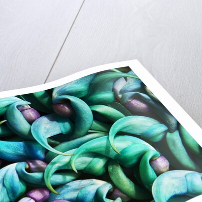 Tropical Gardens with Display of Blue Jade Seeds by Anonymous