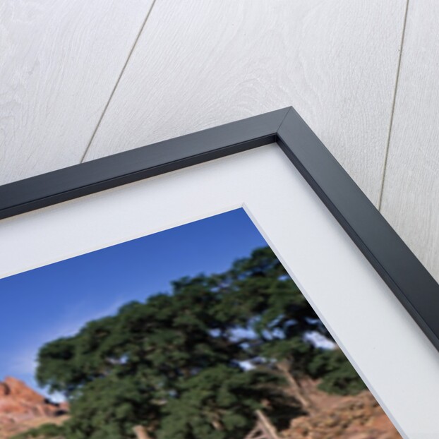 Stone corral fence and barn by Anonymous