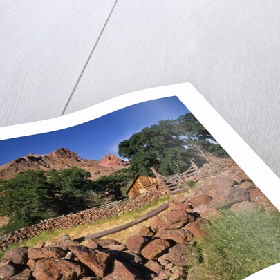 Stone corral fence and barn by Anonymous