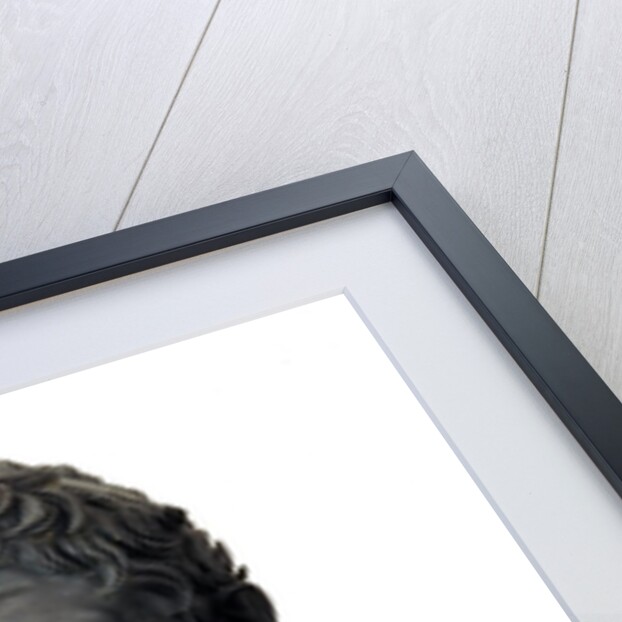 Bronze bust of Seleucus I Nicator by Anonymous