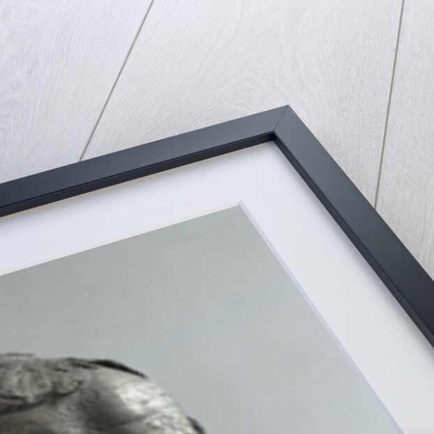 Ancient Greek bronze head of an old man with long beard (philosopher of Porticello) by Anonymous