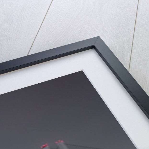 Nanpu Bridge, Shanghai, China by Anonymous