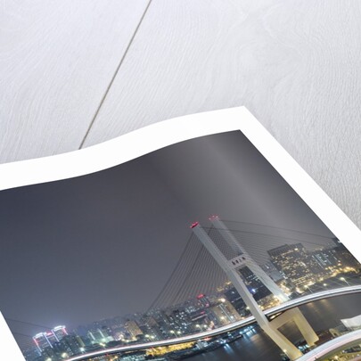 Nanpu Bridge, Shanghai, China by Anonymous