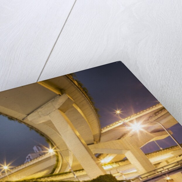 Highway Overpass, Shanghai, China by Anonymous