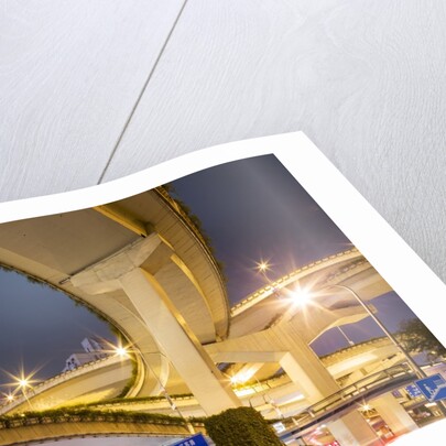 Highway Overpass, Shanghai, China by Anonymous