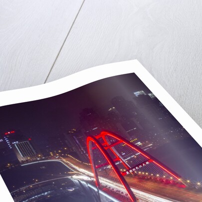 Caiyuanba Bridge, Chongqing, China by Anonymous