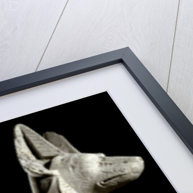 Ancient Egyptian sculpture of Anubis by Anonymous