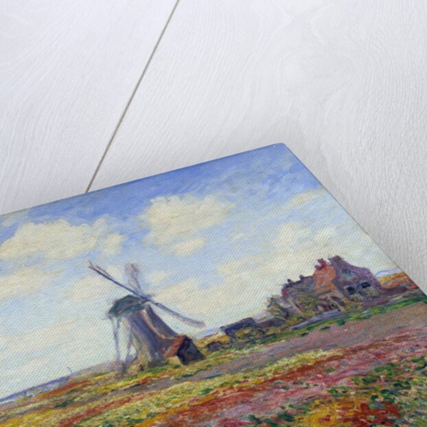 Tulip Fields in Holland by Claude Monet