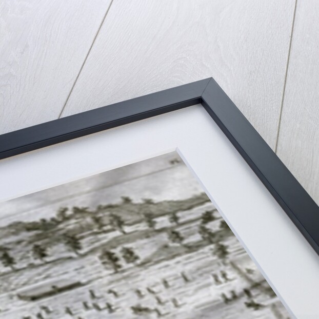 Julius Caesar and Battle with Ambiorix by Anonymous