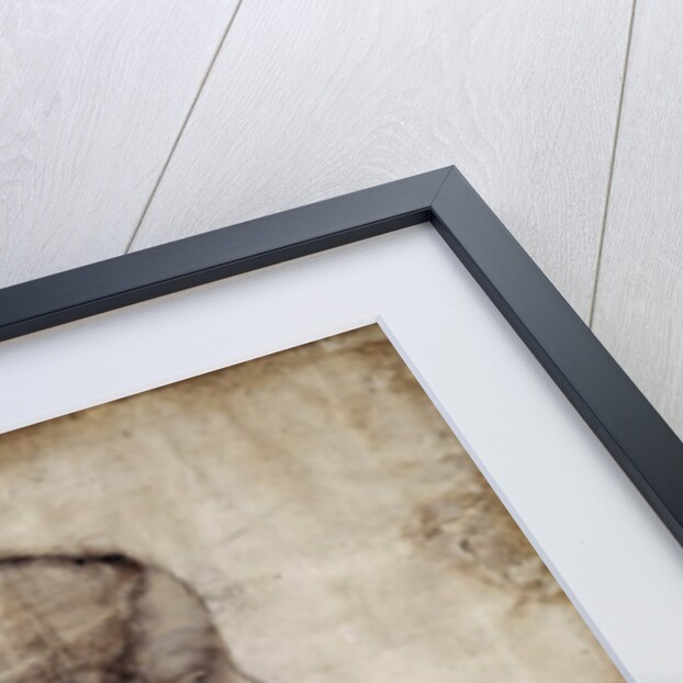 Portrait of Isabella d'Este by Leonardo da Vinci