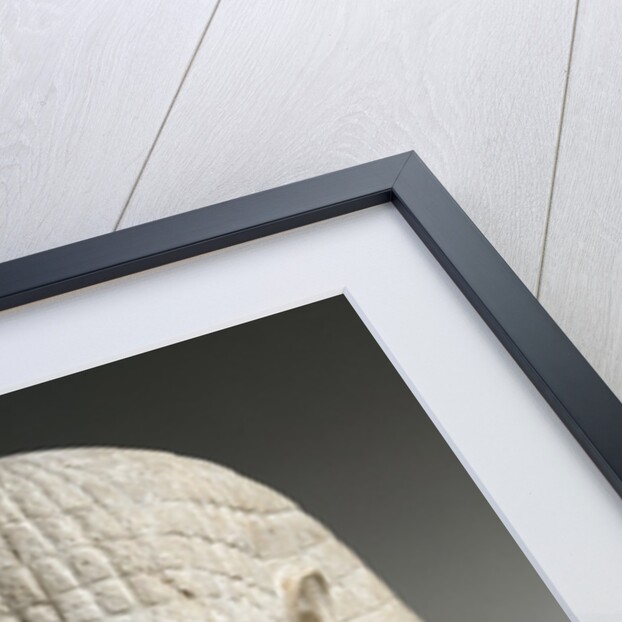 Ancient Egyptian head of a man by Anonymous