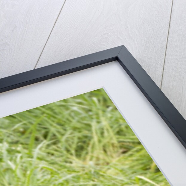 Brown bear jumping by Anonymous