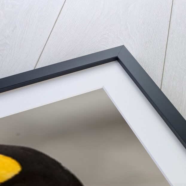king penguin with baby by Anonymous