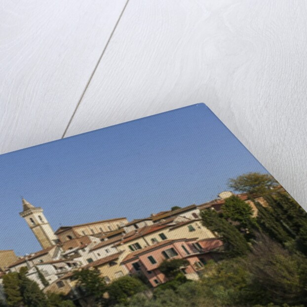 Vinci is the birthplace of Leonardo da Vinci by Anonymous
