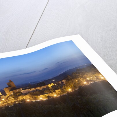 Vinci is the birthplace of Leonardo da Vinci by Anonymous