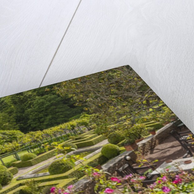 Badia a Coltibuono by Anonymous