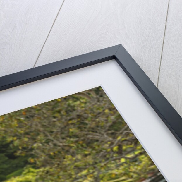 Badia a Coltibuono by Anonymous