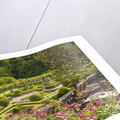 Badia a Coltibuono by Anonymous