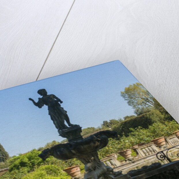 Giardino di Boboli by Anonymous