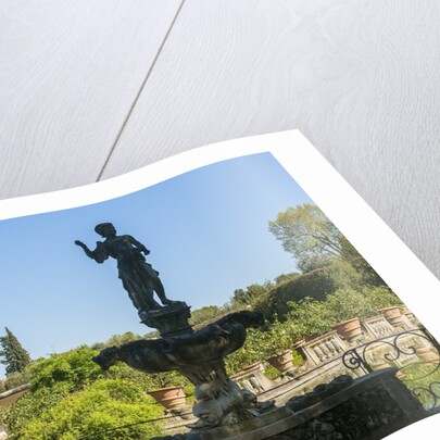 Giardino di Boboli by Anonymous