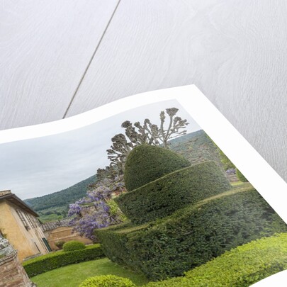 The garden of Villa Cetinale by Anonymous