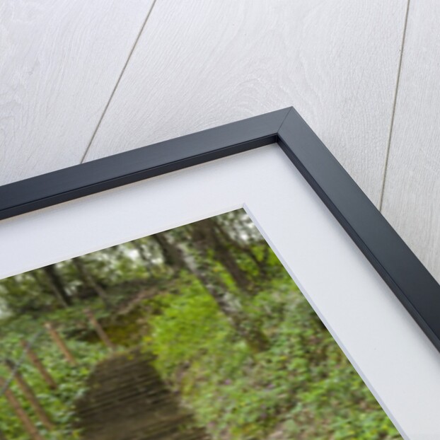 Bosco della Ragnaia, garden created by Sheppard Craige