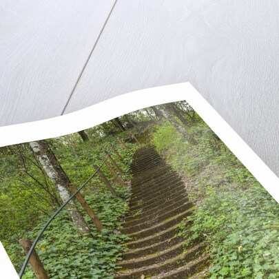 Bosco della Ragnaia, garden created by Sheppard Craige