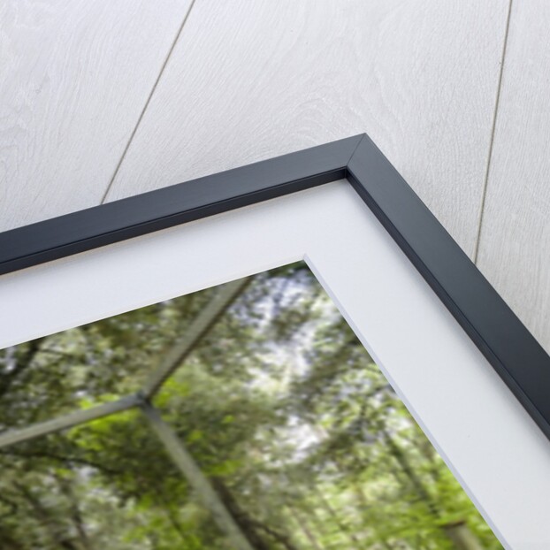 Bosco della Ragnaia, garden created by Sheppard Craige