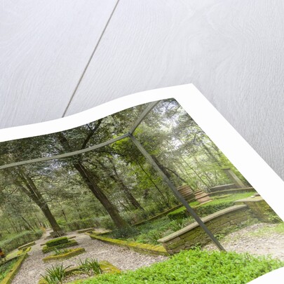 Bosco della Ragnaia, garden created by Sheppard Craige