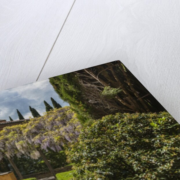 Villa La Foce Garden by Anonymous