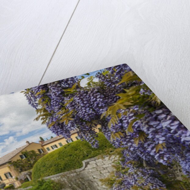 Villa La Foce Garden by Anonymous