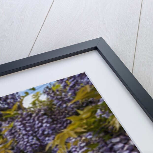 Villa La Foce Garden by Anonymous