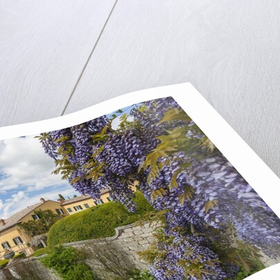 Villa La Foce Garden by Anonymous