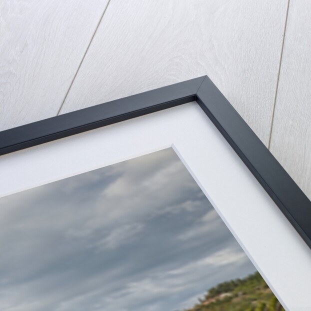 Vineyards near Panzano by Anonymous