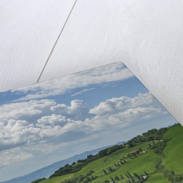 Val d'Orcia View from Villa La Foce by Anonymous