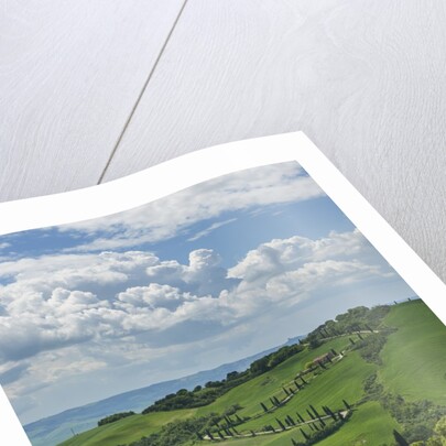Val d'Orcia View from Villa La Foce by Anonymous