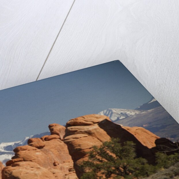 Devil's Garen and the La Sal Mountains by Anonymous