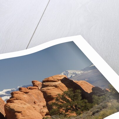 Devil's Garen and the La Sal Mountains by Anonymous