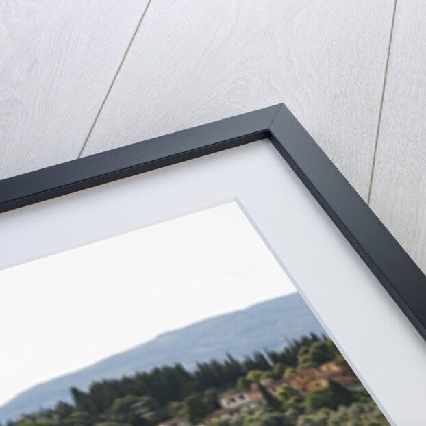 View of San Miniato from Forte Belvedere by Anonymous