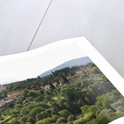 View of San Miniato from Forte Belvedere by Anonymous