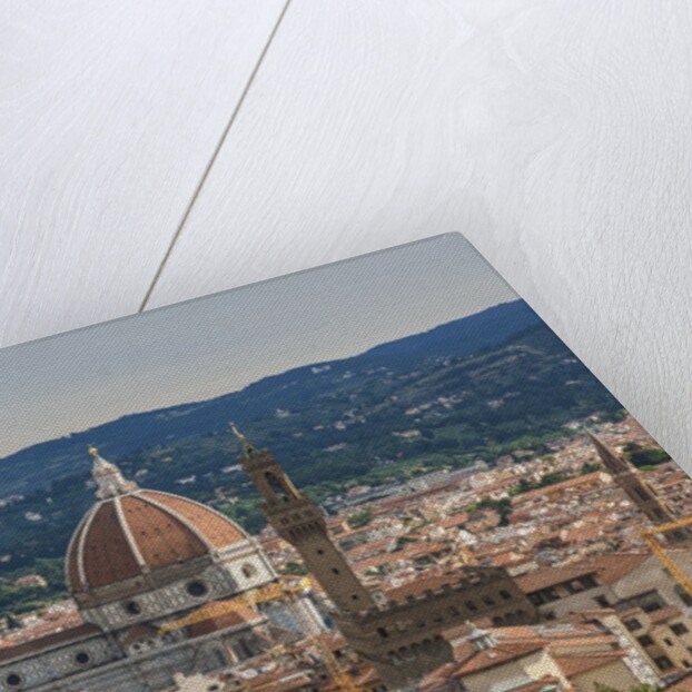 View of Santa Maria del Fiore Cathedral and Palazzo Vecchio from Forte Belvedere by Anonymous